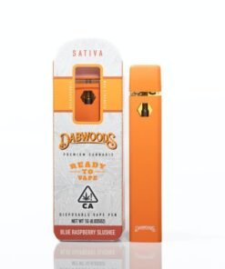 Dabwoods Disposable Blue Raspberry Slushie